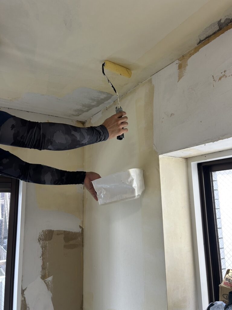 Apply the anti-mold agent to the substrate.
