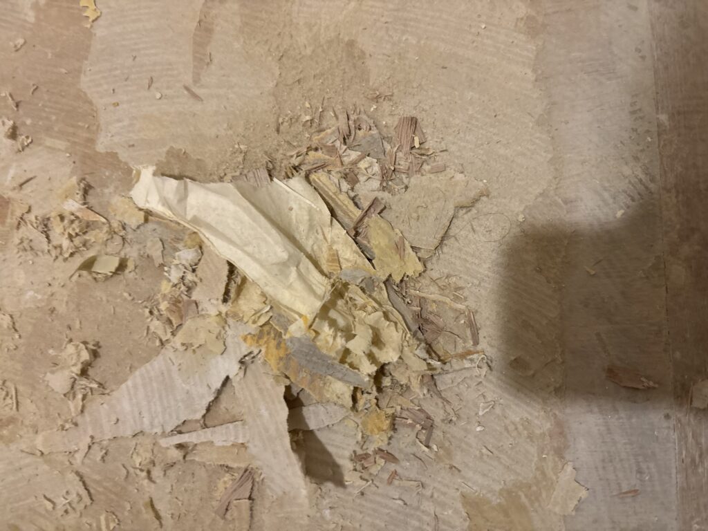 Removed loose flooring backing material and debris collected during floor preparation.