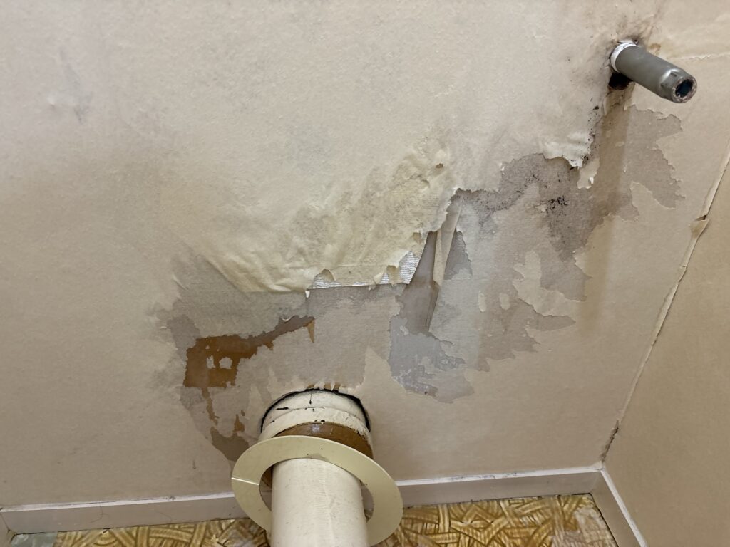 Loose backing paper visible underneath the old wallpaper on the toilet wall