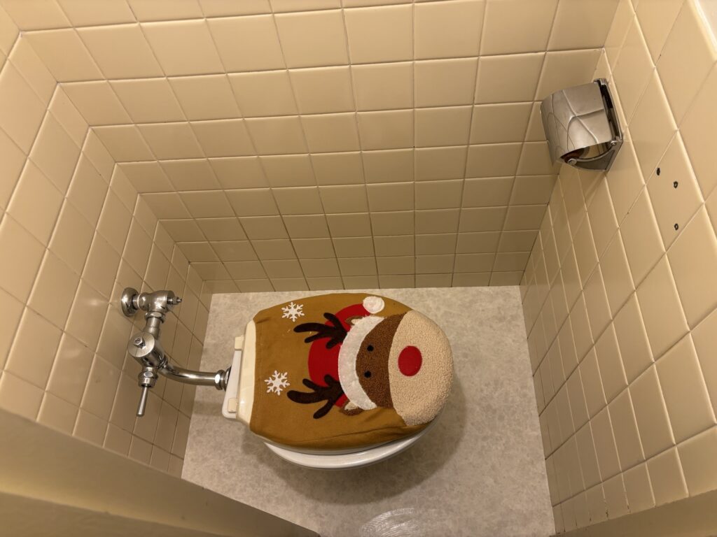 Completed cushion flooring installation in a condominium toilet