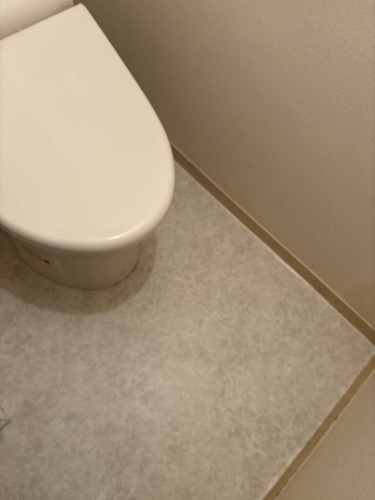 New cushion flooring installed around the toilet