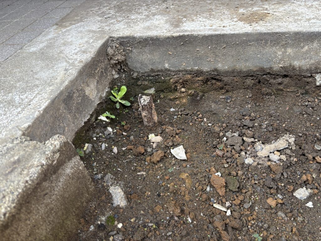 Remaining metal post from a removed mailbox protruding from the ground.