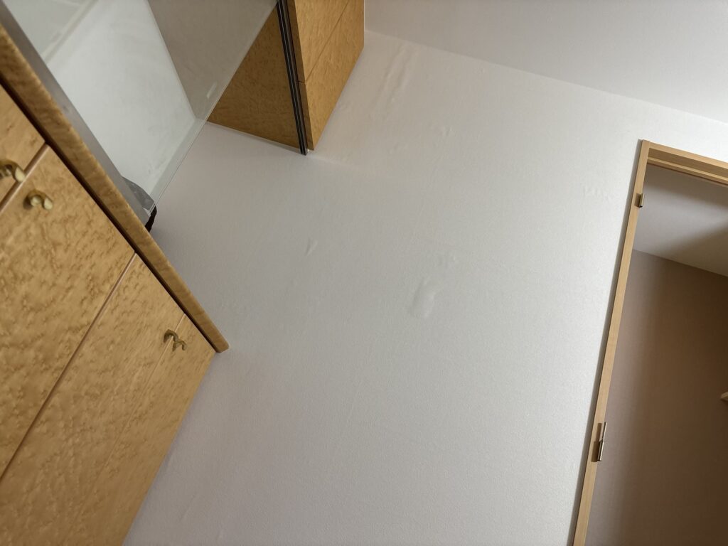 Completed wallpaper installation on the entrance wall of a Japanese apartment.
