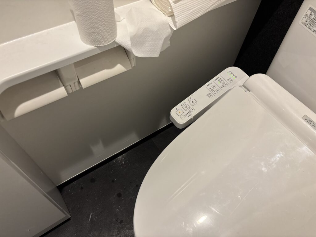 Finished wallpaper fitted into the narrow gap beside a toilet, demonstrating careful installation around existing plumbing fixtures.